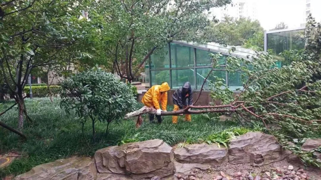 風(fēng)雨中的堅(jiān)守丨智慧物業(yè)事業(yè)部迎戰(zhàn)臺風(fēng)“煙花”